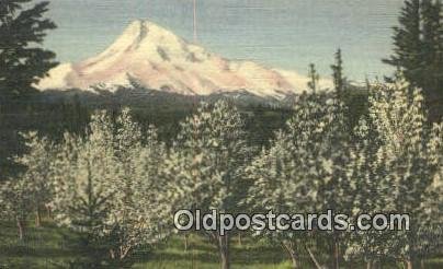 Mt Hood, Oregon, OR USA Trains, Railroads Unused 