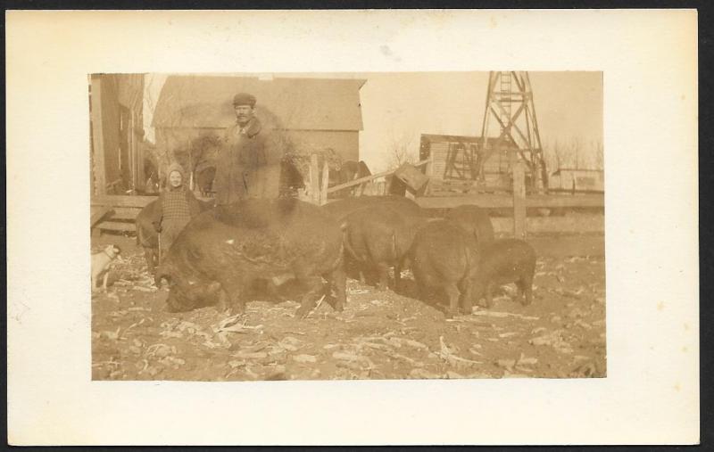 Man Child & Adult Pigs in Barnyard RPPC Unused c1910s