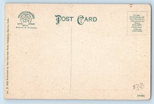 Cheyenne Wyoming Postcard Carnegie Library Building Exterior Roadside c1910's