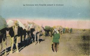 syria, Camel Caravan to Druze City of السويداء As-Suwayda (1910s) Postcard