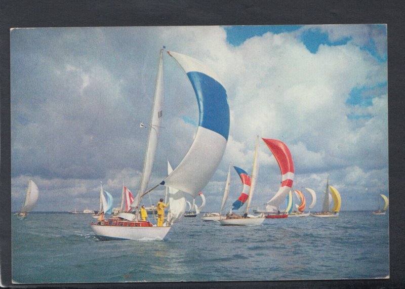 Sports Postcard - Channel Cruisers Racing Off Hampshire & The IOW  - T5258