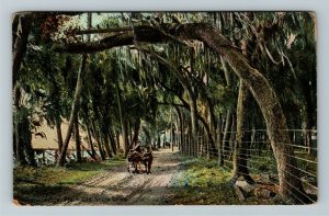 Rockledge FL- Florida, The Old South Drive, Dirt Road, Vintage c1923 Postcard