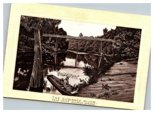 Vintage 1900's Victorian Trade Card The Suwannee River Sulphur Springs Florida