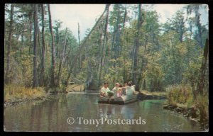 Okefenokee Swamp Park - Waycross