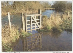 River Test At Wherwell Rare Hampshire Postcard