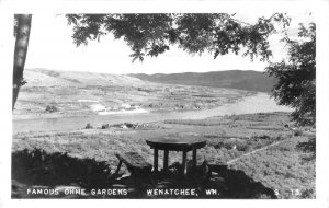 Famous Ohne Gardens Panorama Wenatchee Washington Real Photo postcard