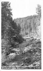 Ruidoso New Mexico Scenic Noisy River Real Photo Antique Postcard K20222