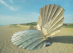 Scallop Shell Aldeburgh Suffolk Postcard