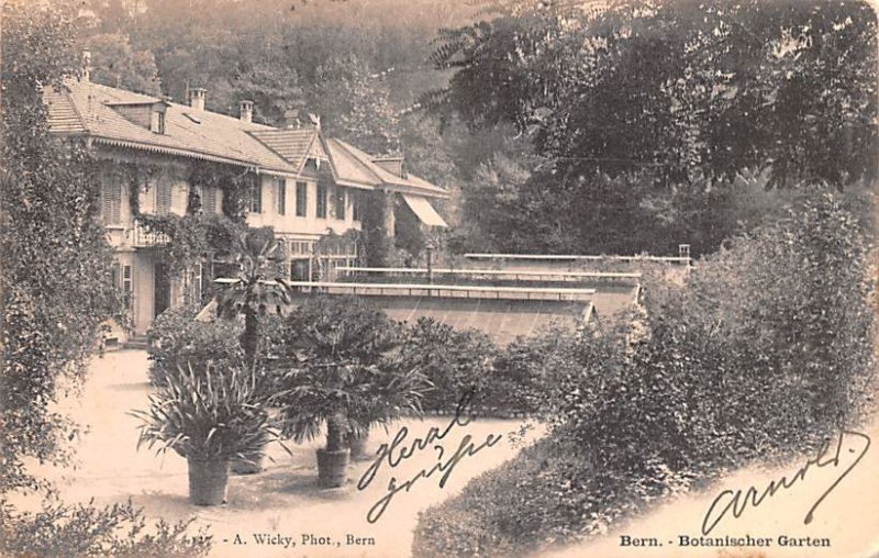 Bern Botanischer Garten Switzerland 1903 