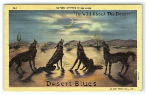 1930-45 Coyotes Howling At The Moon Postcard I'm Wild About The Desert Blues