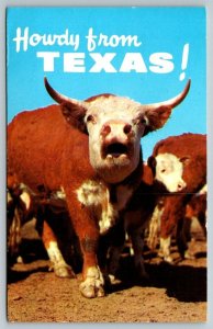 Howdy From Texas The Lone Star State  Postcard   1972