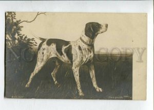 3146985 HUNT Dog POINTER Vintage 1903 PC