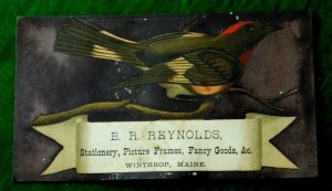 B.R. Reynolds Stationery Picture Frames Fancy Goods, Red-Headed Bird Branch C2