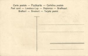 Goose Geese, Pommersche Gans, Oie de Pommeranie (1910s) No. 34