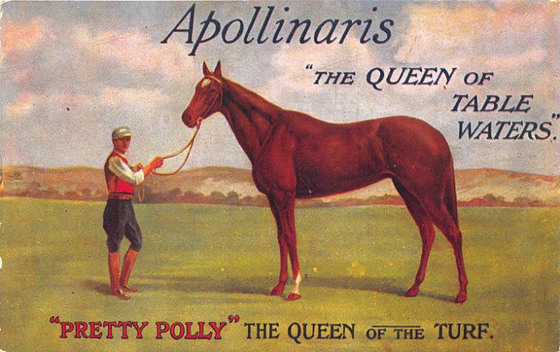 Apollinaris Pretty Polly Horse Queen of Table Waters Tuck Advertising Postcard