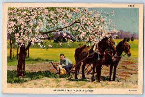 Waterloo Iowa  Postcard Greetings Horses Man Sitting Tree Scenic View c1940s