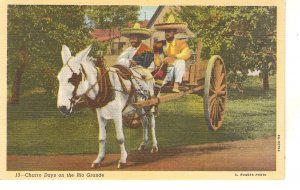 Charro Days on the Rio Grande. Horse Cart Vintage American Postcard