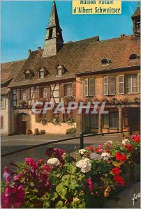 Modern Postcard Kaysersberg (Haut Rhin) Colors and Light of France birthplace...