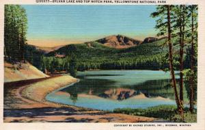 YELLOWSTONE NATIONAL PARK.  Haynes Linen Series. 35377.