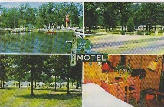 North Carolina Rocky Mount Mosleys Shady Lake Motel