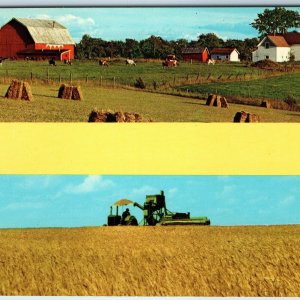 1960 Stock Unused Curt Teich Greetings from Postcard Farm Country Homestead A239