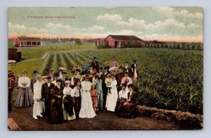 PINEAPPLE GROVE NEAR HONOLULU HAWAII USS MARYLAND MILITARY SHIP POSTCARD 1910