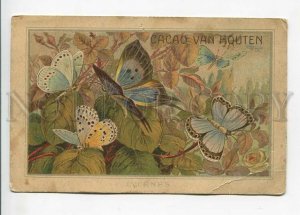 3178624 ADVERTISING Van Houten cocoa publicity Butterflies old