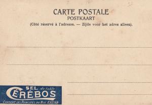 Sel De Table Cerebos Antique Spanish Salt Advertising Postcard