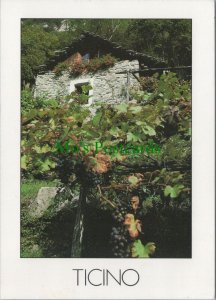 Switzerland Postcard - Ticino - Valle Maggia - Swiss Alps  RR15514