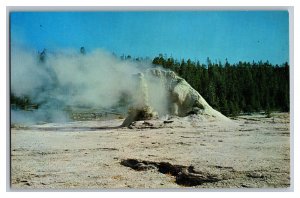 Vintage Postcard WY Mastiff Geyser Yellowstone National Park Wyoming 