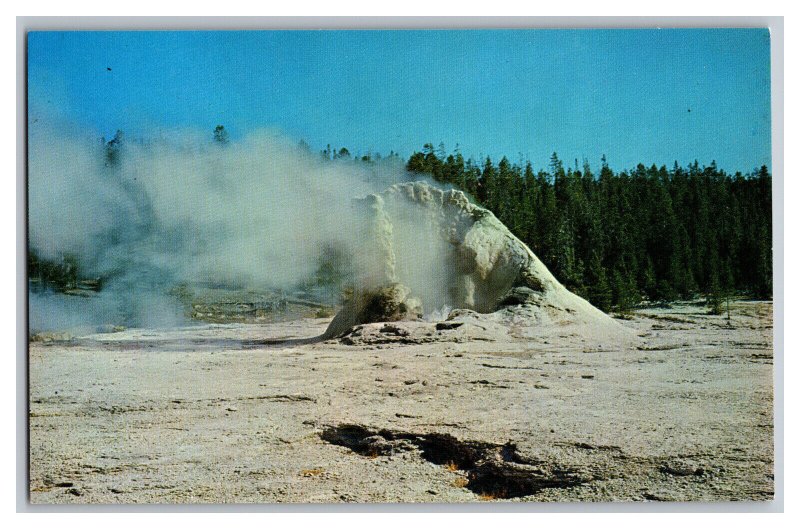 Vintage Postcard WY Mastiff Geyser Yellowstone National Park Wyoming 