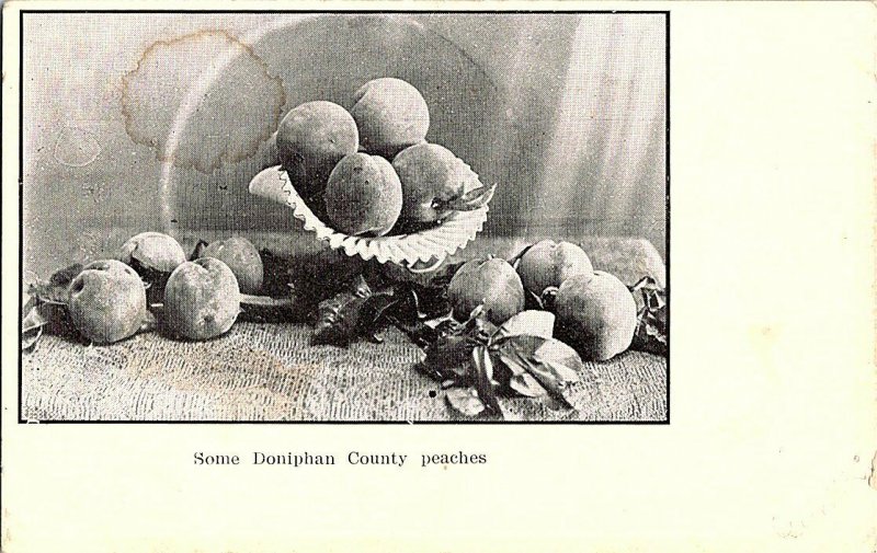 Some Doniphan County Peaches Vintage Kansas Postcard Standard View Card 