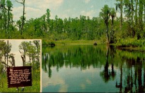 Georgia Okefenokee Swamp Park Skull Lake