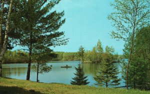 Vintage Postcard Good Fishing among The Birches and Pines Boat in Lake