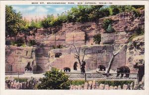 Bear Pit Brackenridge Park San Antonio Texas 1939