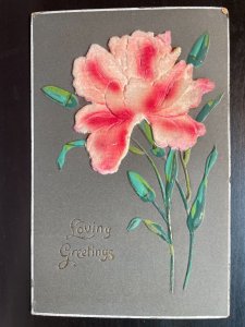 Vintage Victorian Postcard 1901-1910 Loving Greetings - Pink Velvet Carnation