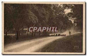 Old Postcard Les Landes in Gascony On dusty roads