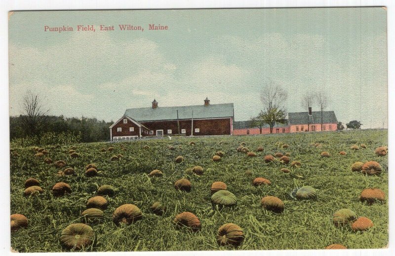 East Wilton, Maine, Pumpkin Field