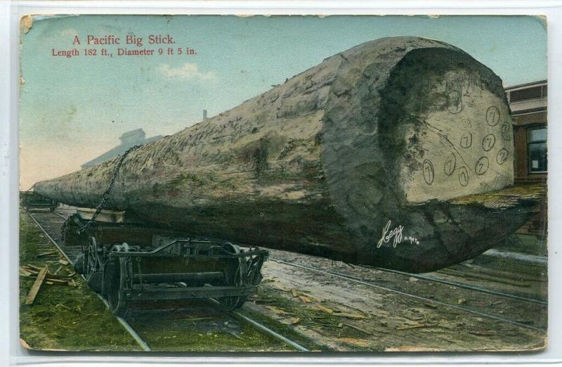 Pacific Big Stick Logging Railcar Railroad Pacific Northwest 1909 postcard