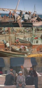 Sardine Ships Arriving at Portugal Fishermen Evora 3x Postcard s