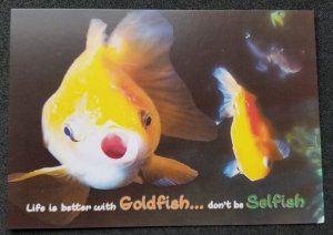 [AG] P115 Malaysia Gold Fish Pet Children Hobby Aquarium (postcard) *New