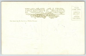 Colorado Springs~Gateway to Garden of the Gods~c1905 Heavily Embossed Postcard 