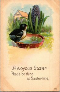 Bird at birdbath purple hyacinths Peace and Joy at Easter