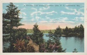 Trail overlooking Otter Lake - Adirondacks, New York - WB