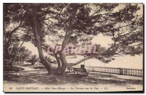 Postcard Old Saint Raphael Hotel Beau Rivage La Terrasse sous les Pins