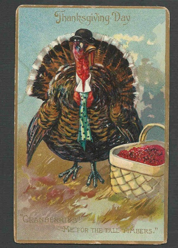 DATED 1910 PPC* VINTAGE THANKSGIVING DAY TURKEY W/CRANBERRIES EMBOSSED POSTED