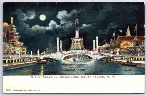 Night Scene In Dreamland Coney Island New York NY Moonlight City Lights Postcard