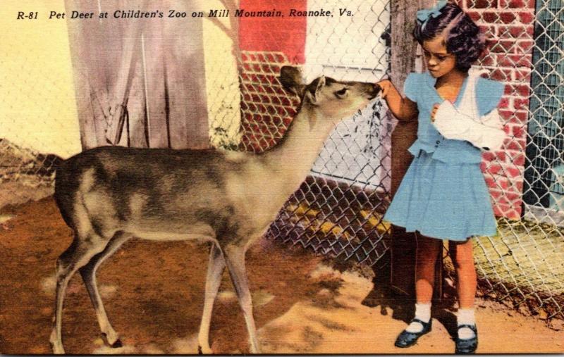 Virginia Roanoke Pet Deer At Children's Zoo On Mill Mountain