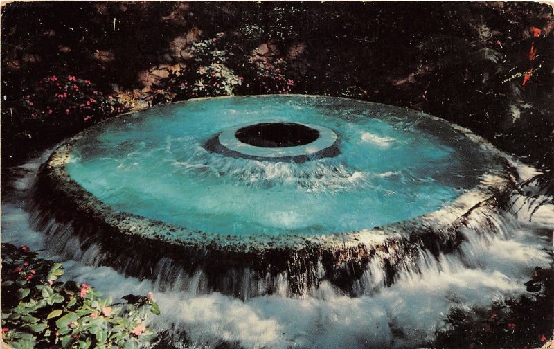 G82/ Costa Rica Foreign Postcard Central America Ojo De Agua Spring Chrome19