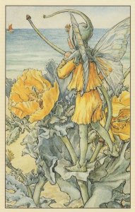 The Chicory Fairy Antique Fairies Book Illustration Postcard